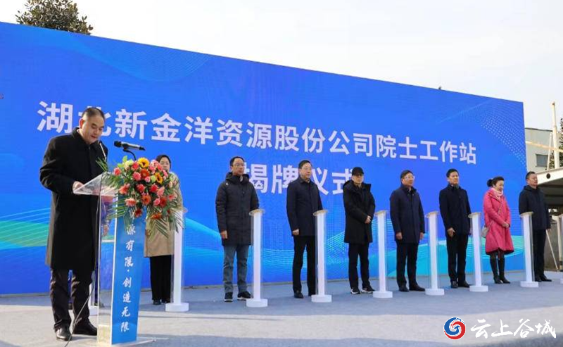 湖北新金洋资源股份公司院士工作站揭牌